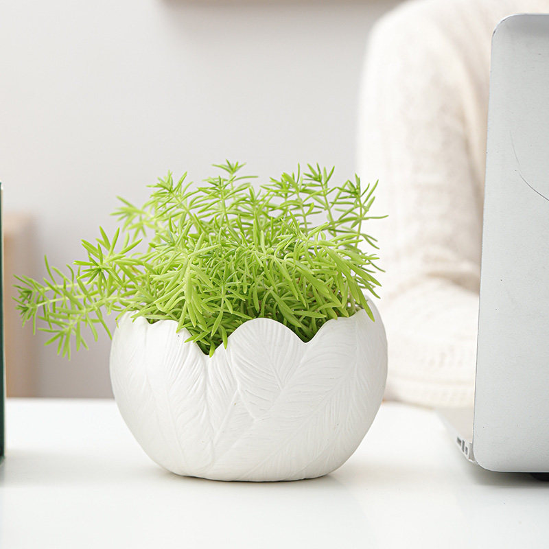 欧式陶瓷创意白色羽毛大口径水培绿萝陶盆带托盘个性多肉大号花盆