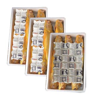 干冰冰袋重复使用家用商用摆摊航空快递冷冻海鲜保鲜自动吸水保冷