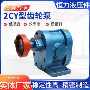 齿轮泵2CY不锈钢齿轮泵润滑油泵卧式 高压型液压齿轮油泵