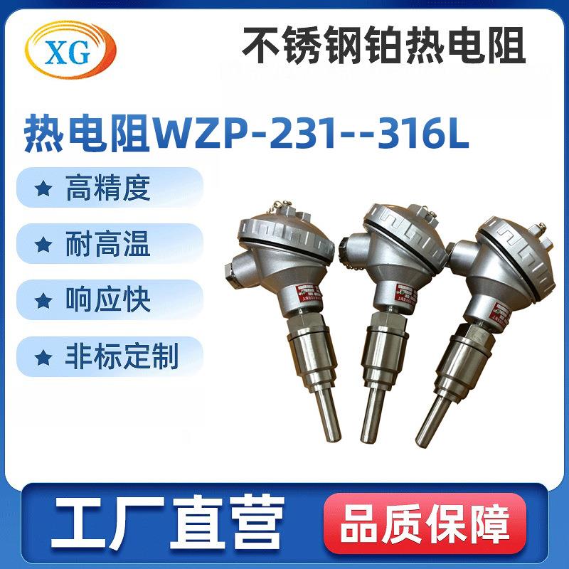 厂家专业供应配安装底座测温用铂热电阻WZP-231/316L