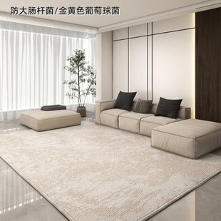 抑菌地毯客厅轻奢高级环保抽象简约沙发茶几垫子家用卧室新款 意式
