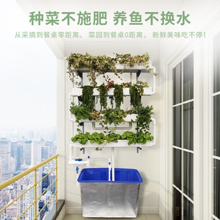 绿水青山鱼菜共生系统水培蔬菜种植设备家庭阳台户外花卉架管箱槽