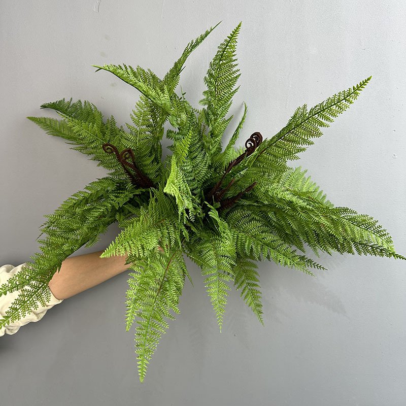 15头大羊齿蕨高仿真蕨类植物肾蕨大蕨草波斯叶排草森系婚礼布置
