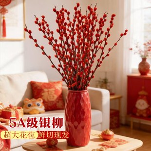 银柳真花鲜枝干花摆件室内客厅鲜花绿植新年年宵花卉植物过年干枝