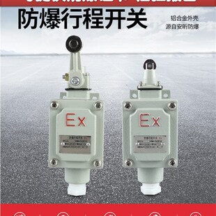 10A 防爆行程开关限位脚踏开关双踏LX5 BZX51dLXK 15Z