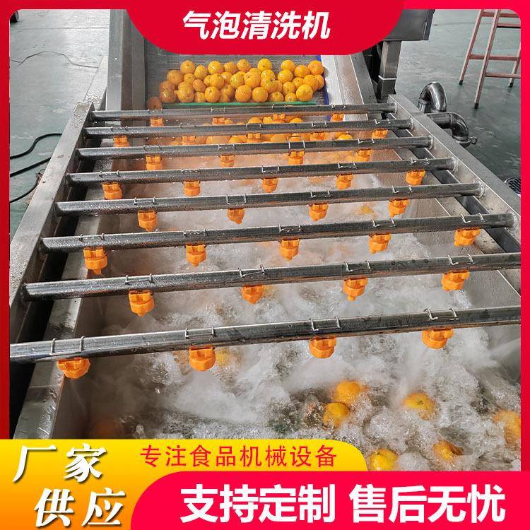 商用果蔬气泡清洗机菇娘果鼓泡翻浪清洗机沙棘果气泡清洗风干线