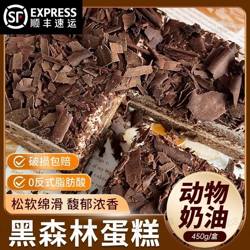 新货黑森林巧克力蛋糕动物