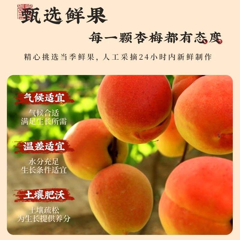 农夫山庄话梅肉干酸甜无核梅肉李子蜜饯果脯话梅干休闲解馋零食