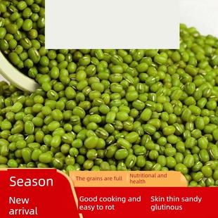 新货2025年东北绿豆新货官方正品 商用10斤新鲜有机绿豆非转基