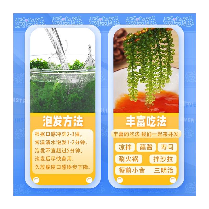 新日期儿童海葡萄用新鲜泡发小孩吃的即食健康零食绿色鱼子酱官方