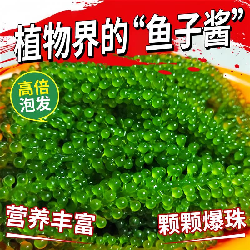 新日期海葡萄儿童可吃绿色