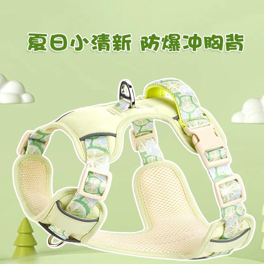 狗狗牵引绳夏季背心式宠物背带透气狗绳大中小型犬柯基比熊外出链