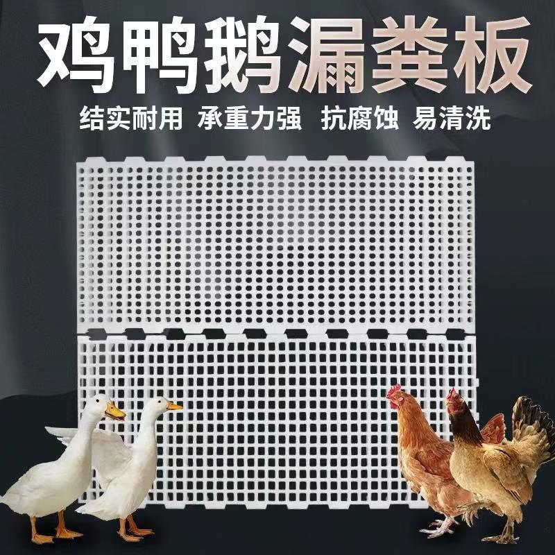 鸡漏粪板家禽鸭鹅用塑料脚垫兔笼漏粪网格漏屎地垫养殖育雏鸡网板
