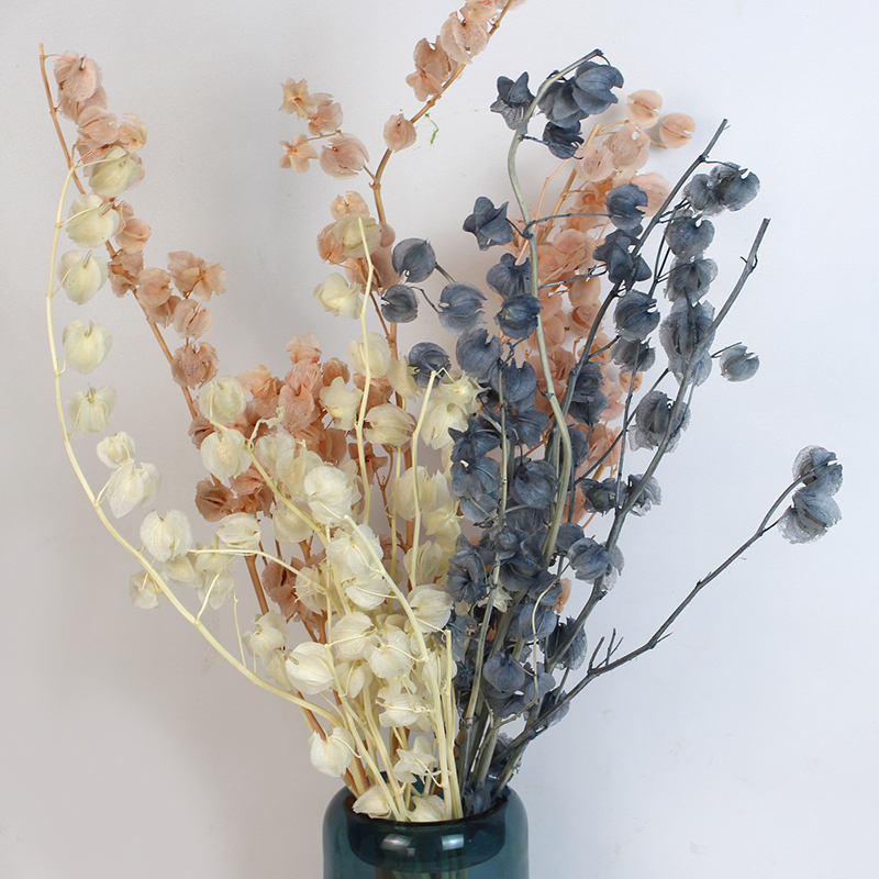 永生花风铃果真花天然灯笼花家居插花婚庆婚礼装饰公司摆件花束