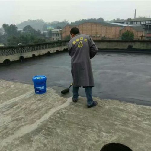 防水涂料联接高弹橡塑沥青防水乳胶楼面平房外墙补漏防水材料