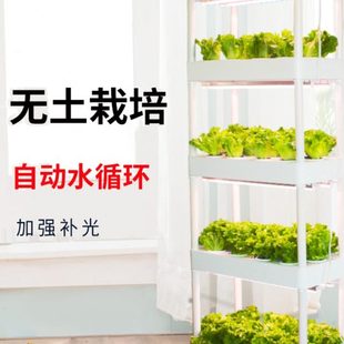家庭室内阳台立体无土栽培蔬菜设备水培种植箱种菜神器水耕种植机