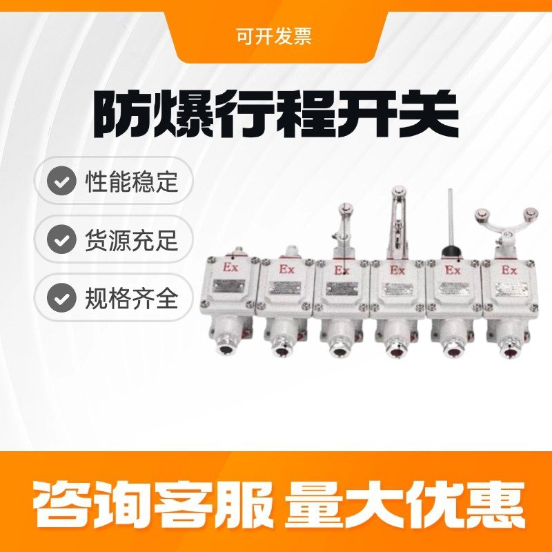 防爆行程开关限位B型DLXK LX5-15B/5d脚踏双踏柱塞lx5-D滚轮Z EX