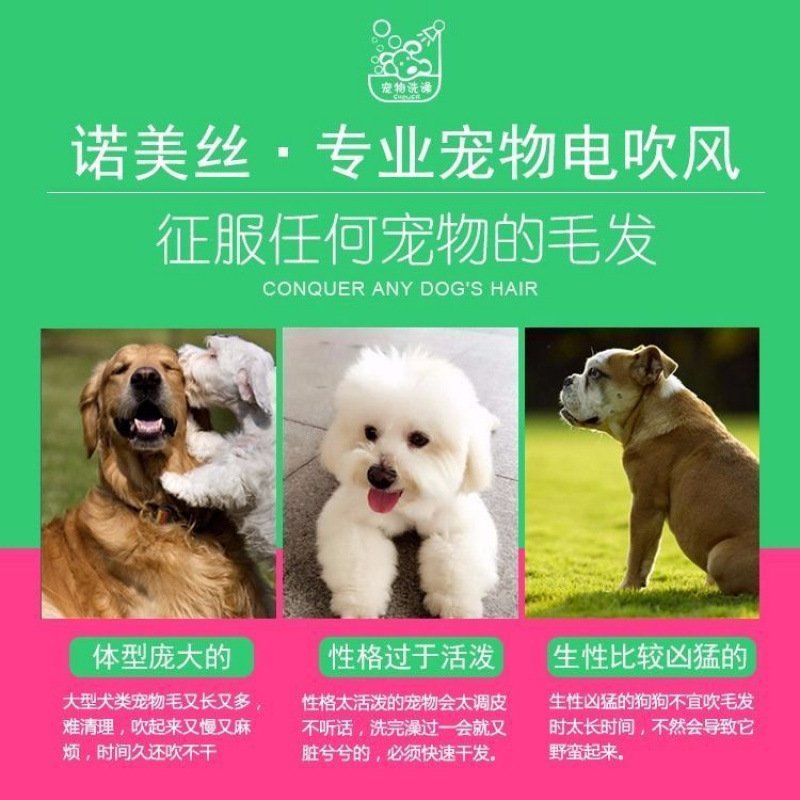 宠物吹风机大功率狗狗静音大风力洗澡大中小猫咪专用水机吹干神器