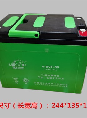 杭叉大金刚搬运车CBD20-AMC1-D电动搬运叉车理士电瓶电池6-EVF-60