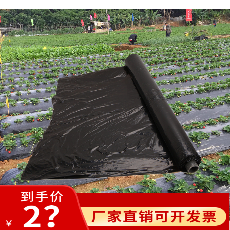 除草黑地膜农用黑膜蔬菜白膜防草膜保温保湿果园塑料薄膜加厚