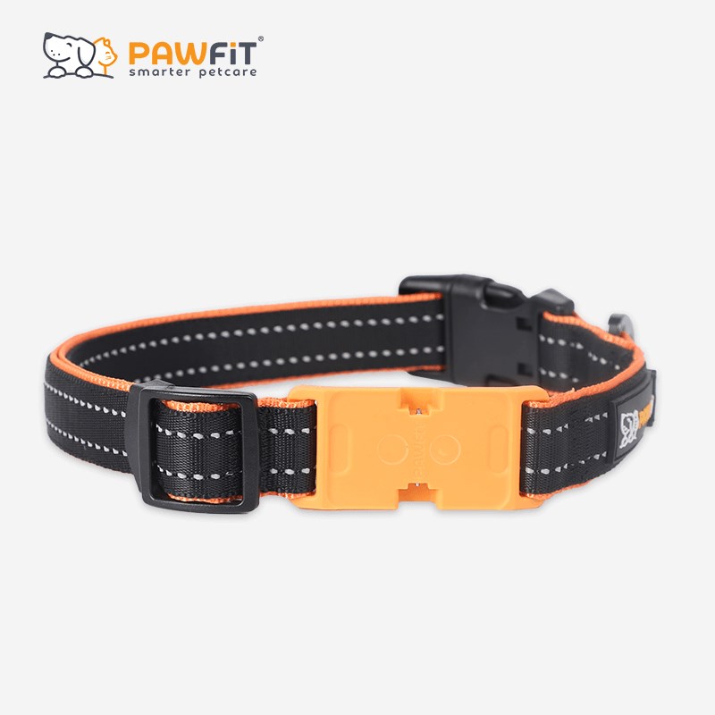 Pawfit3 专用项圈可调节猫咪狗狗通用