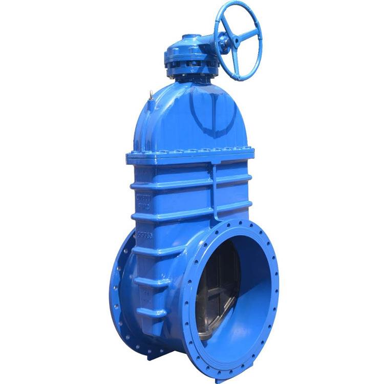 暗杆软密封闸阀双法兰弹性座铸铁闸阀厂家直销大口径DN700PN10