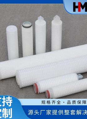 双氧水产品过滤器滤芯/W-CLPF0100TF20P/微孔折叠膜滤芯