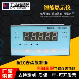 安徽厂家销售LY90X型智能显示控制器仪表智能数字显示控制仪表