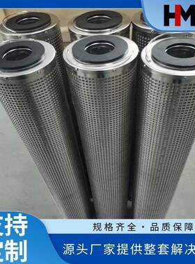 不锈钢TEG活性炭过滤器滤芯170*57*440mm636-C-AC-PM