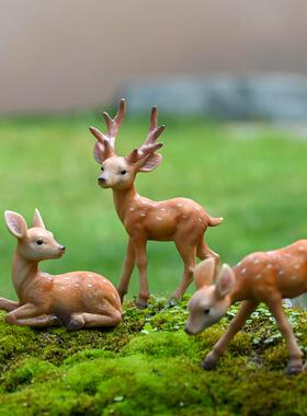 微景观仿真梅花鹿摆件假山盆景沙盘枯山水树脂小鹿装饰桌面小动物