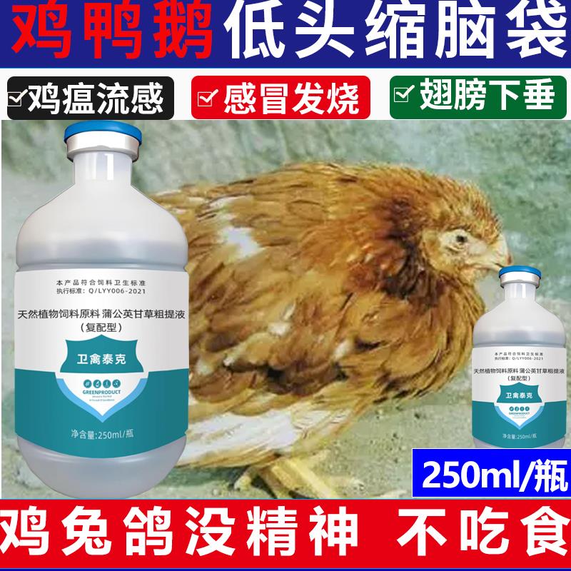 鸡病全治养鸡专用药 禽一片鸡药鸡鸭鹅鸽感冒拉稀抗病毒 养鸡网
