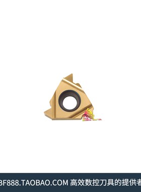 小孔径外螺纹刀片 08ER A55/A66 M20/TP04