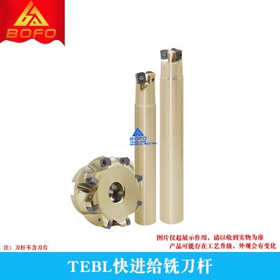 TEBL快进给铣刀杆 高进给铣刀盘 特固克通装 BLMP0603R双面铣刀片