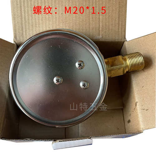 无锡利友YK100I抗震压力表油压表螺纹M20*1.5径向直出表面YN100