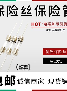 电磁炉玻璃保险管丝 5*20MM 10A  带引脚 带引线保险