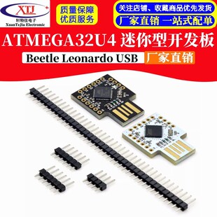 Beetle Leonardo USB ATMEGA32U4 迷你型开发板