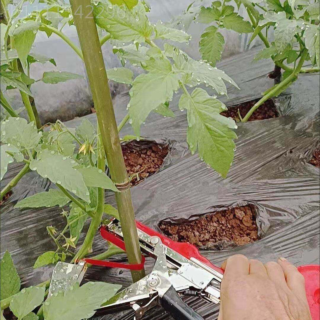 器西YFU红柿绑枝黄瓜绑蔓器葡萄绑蔓枪茄机结番束机绑蔓绑枝捆绑