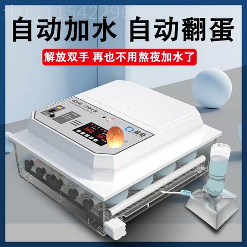 化kt全自动孵化用机家小型小鸡孵器鸭鹅芦丁鸡孵蛋QOT能器智孵化
