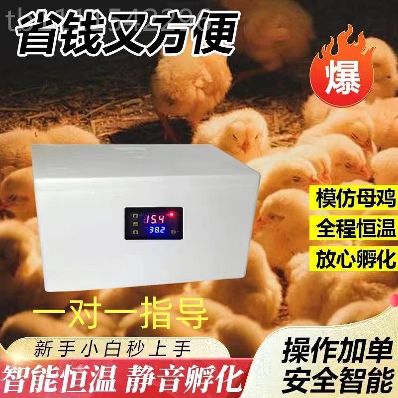 ll小生孵化器小型家用水床孵丁化器仿生智鸽能鸡鸭鹅子芦CIA鸡凉