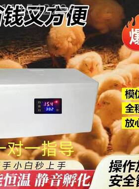 ll小生孵化器小型家用水床孵丁化器仿生智鸽能鸡鸭鹅子芦CIA鸡凉