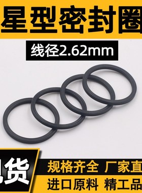 氟胶X/星型圈内17.13/18.72/20.29/21.89/22.22/23.47/25.17*2.62