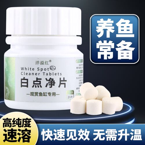 洋溢红白点净片兰寿金鱼白点调理净化水质不伤鱼无需加温下盐