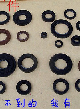 ZY125T/CG/WH100T天剑劲福喜巧格海王星发动机密圈全车油封
