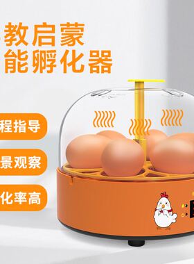 孵化器小型家用型全自动智能孵蛋器鸡蛋迷你孵化机儿童科教孵化箱