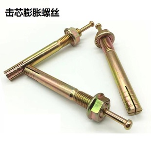 击芯膨胀螺丝一钉得敲击膨胀螺栓举升机锤击壁虎膨胀M6M10M12 M24