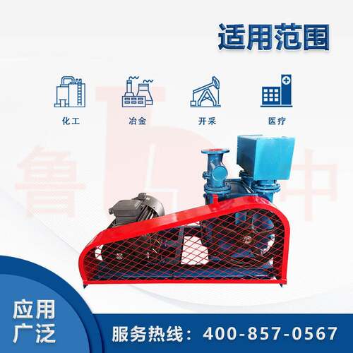 2BE202系列真空泵水环式真空泵2BE电动真空泵高真空度