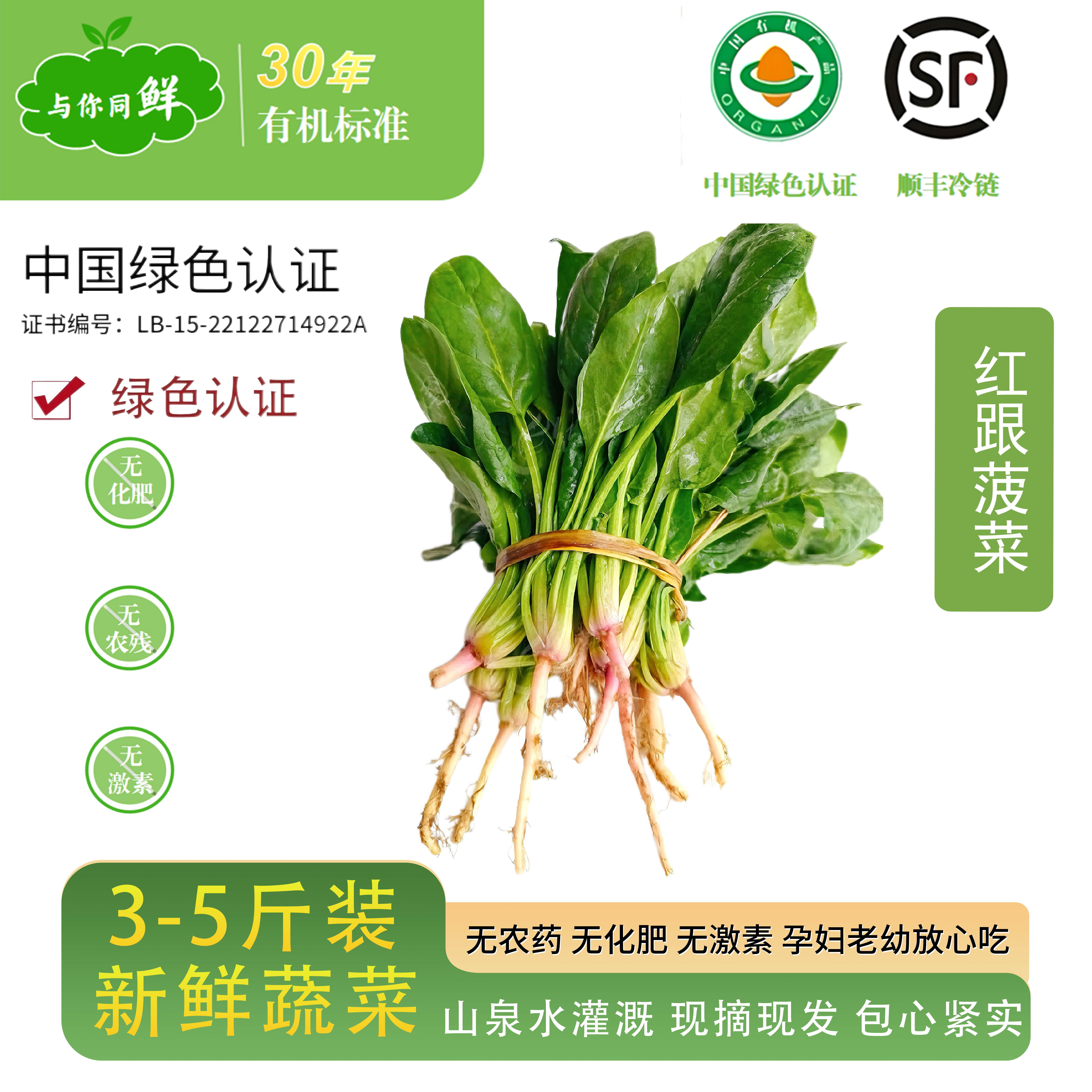 （绿色认证）新鲜蔬菜有机菠菜现摘现发自种蔬菜菠菜宝宝辅食