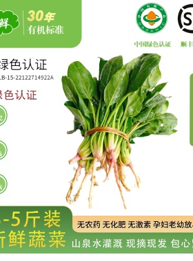 （绿色认证）新鲜蔬菜有机菠菜现摘现发自种蔬菜菠菜宝宝辅食