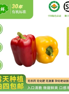(有机彩椒)有机蔬菜彩椒辣椒水果椒宝宝辅食绿色蔬菜健康蔬菜