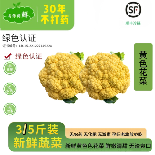 （顺丰冷链）新鲜蔬菜有机方式现摘黄色和菜花松花